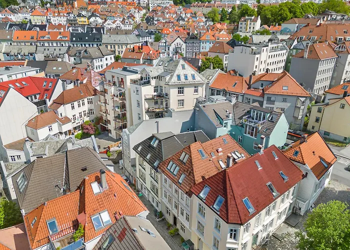 Renovated 2024 - Viking Inspired - Behind Bryggen
